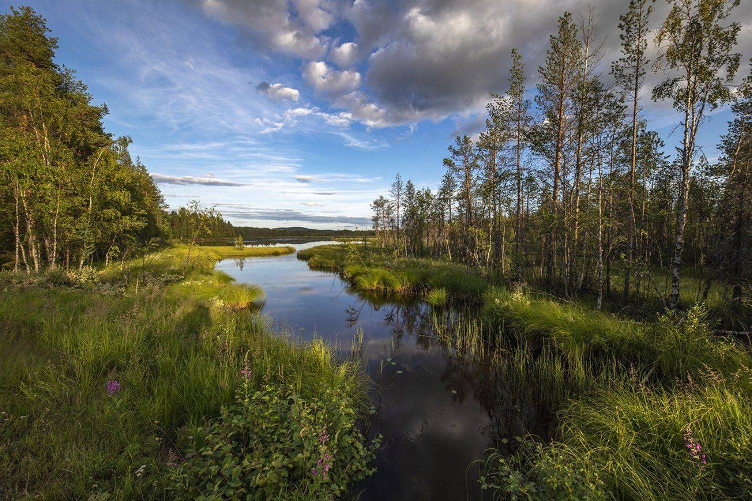 швеция,  Lapland