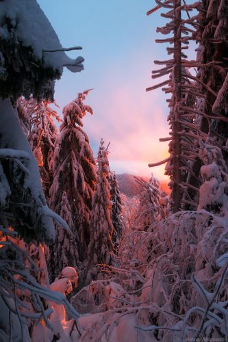 Разукрашены светом