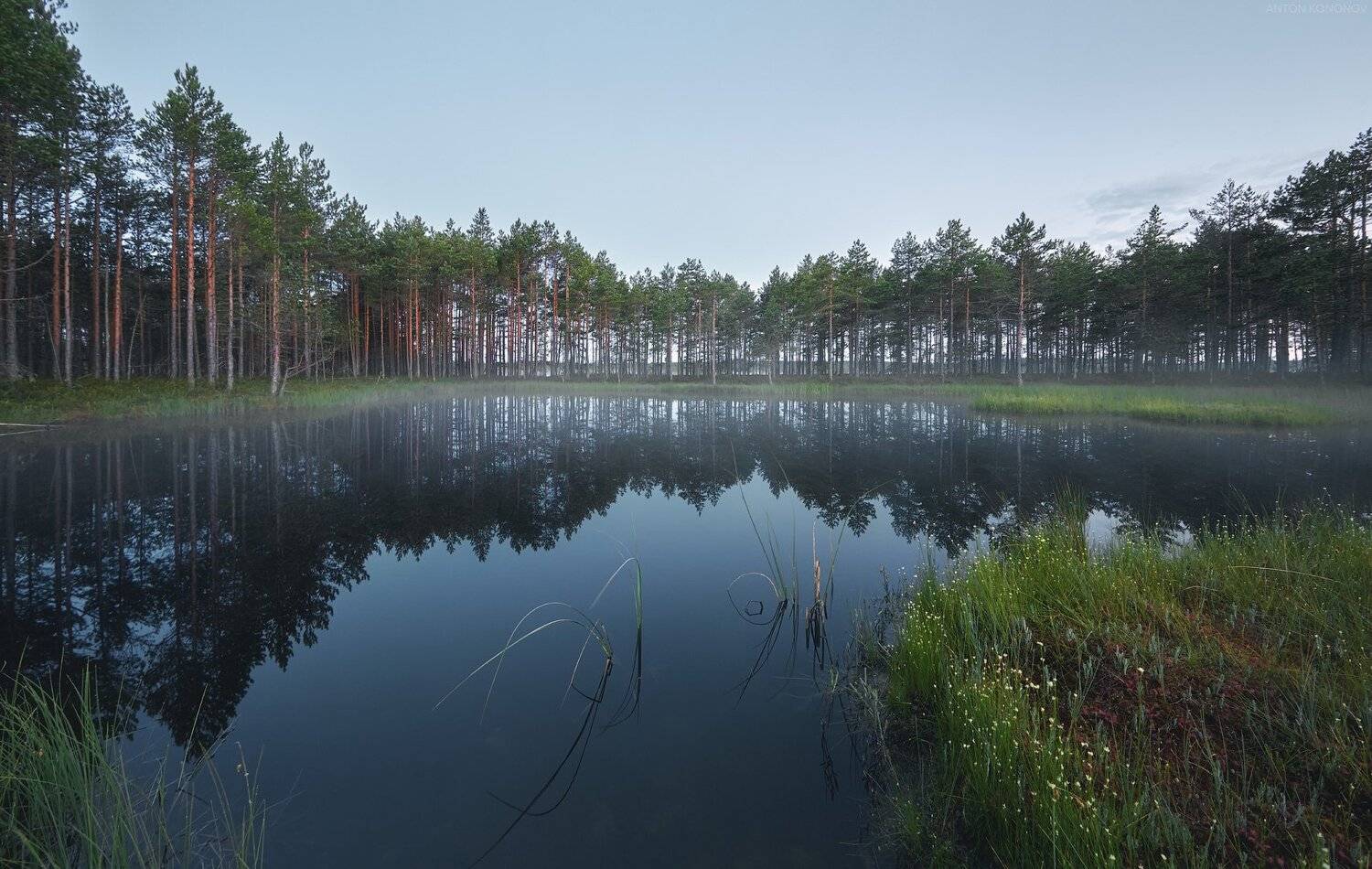 , Антон Кононов