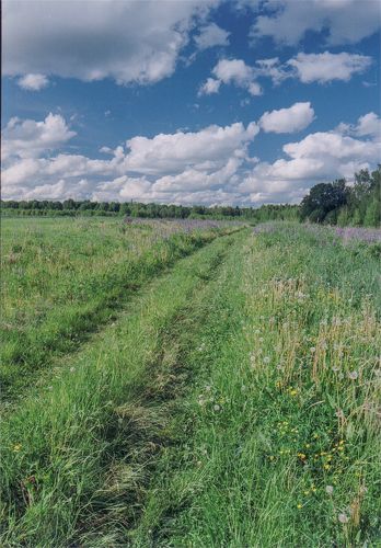 Солнечная плёнка.