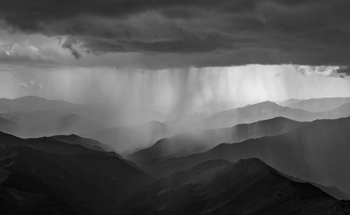 Dark Rain