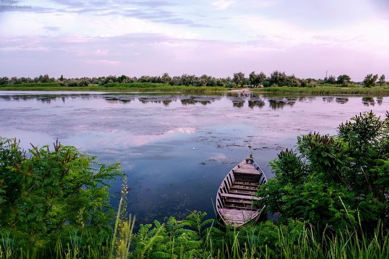 Лето. фото превью