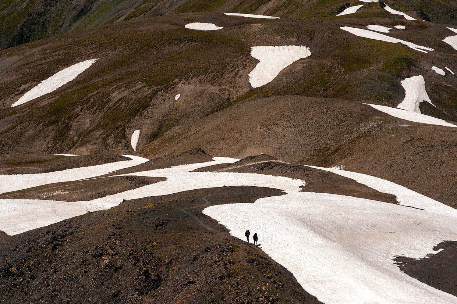 , Олег Логунов