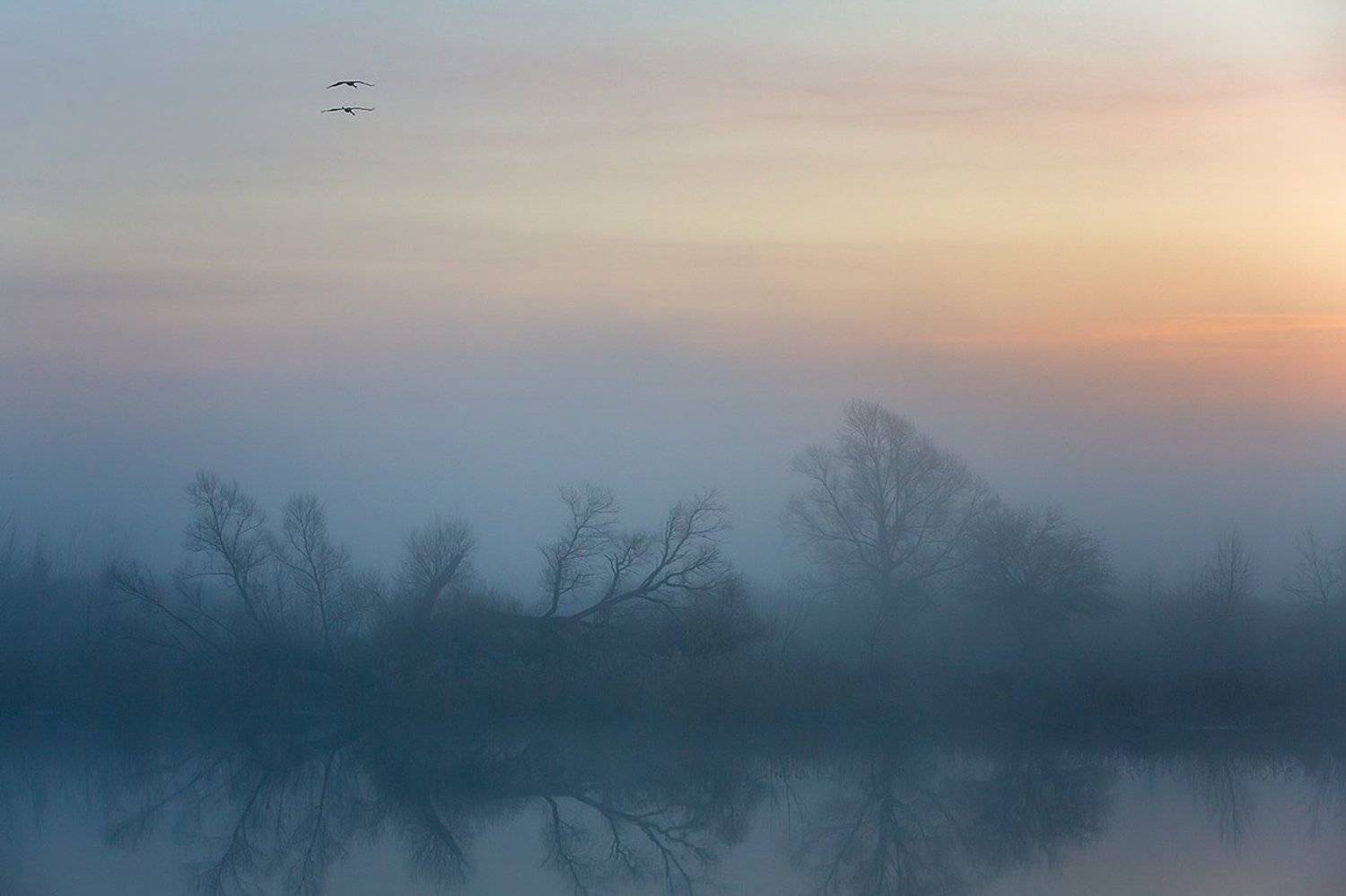 , Юрий Сорокин