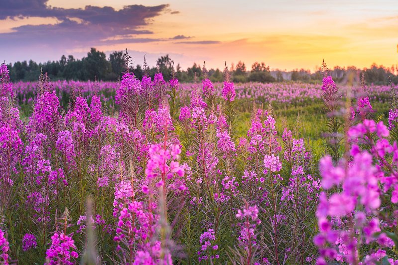 Разноцветное  фото превью