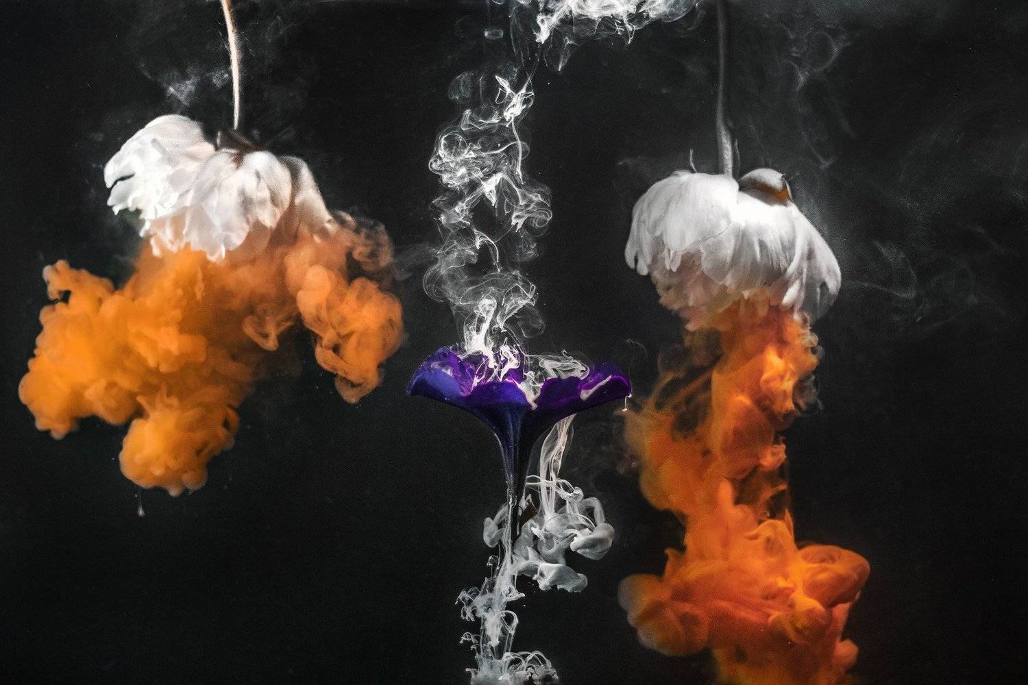 , Иоанн Степанченко