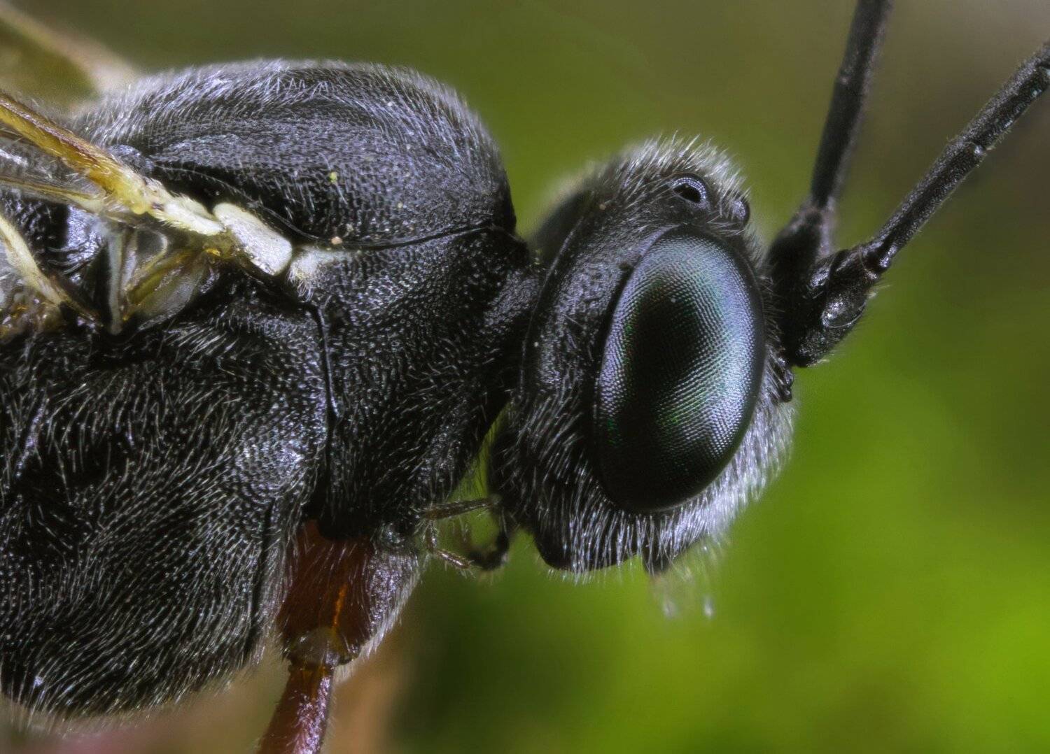 , Павел Сагайдак