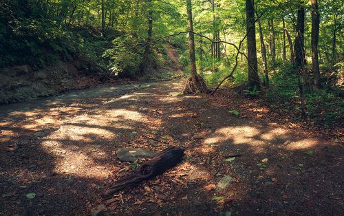 После тайфуна...