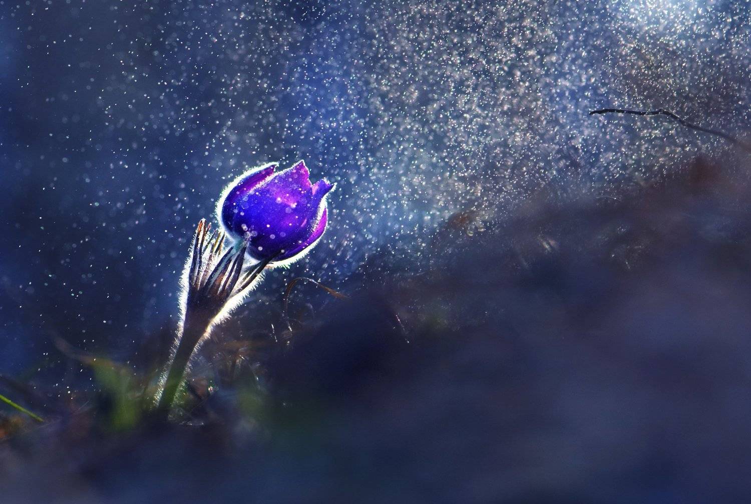 , Макеев Алексей