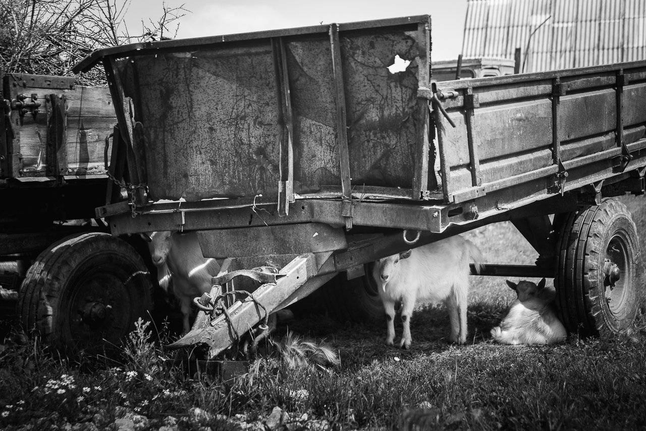 ///, Анисимова Ольга Леонидовна