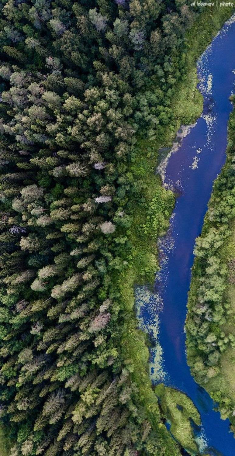 , Алексей Лобанов