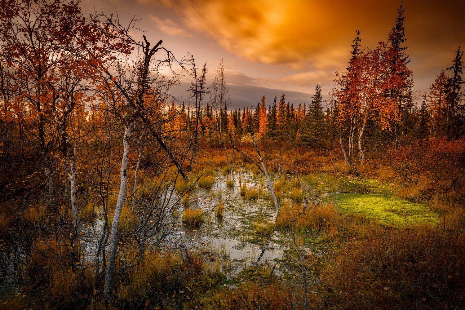 , Евгений Кужилев