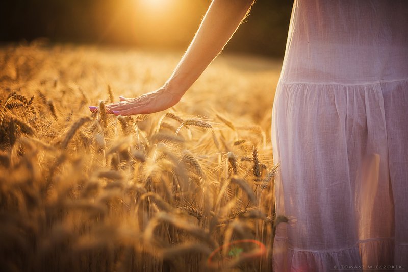 girl, woman, light, sunset, sunrise, colours, beautiful, touch, hand, grain, mood, sexi, happy, frient, portrait, body, legs Touch фото превью