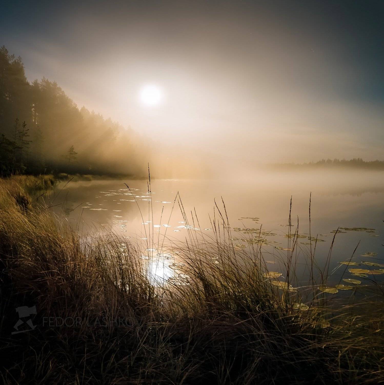 ночь, ленинградская область, осень, полнолунье, луна, сосны, озеро, туман, облака, ночью, ночь, ярко, свет,, Лашков Фёдор