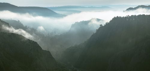 Туман в ущелье