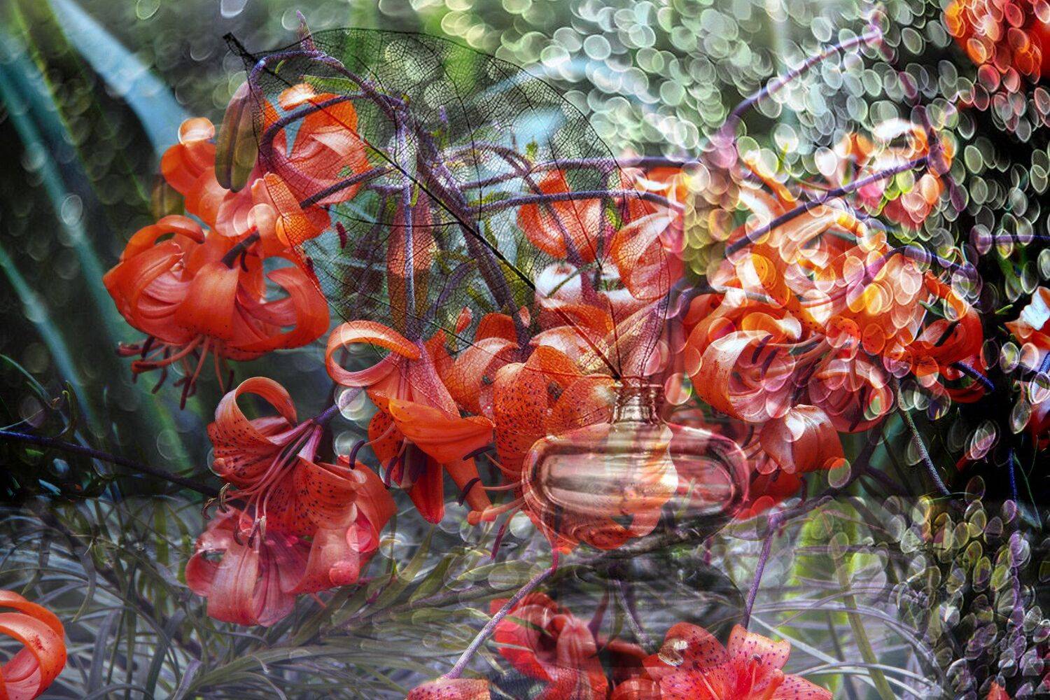  garden, blossom, flowers, yellow, white, green, summer time, petal, fresh, beautiful, garden, summer flowers,  summer color, landscape, nature, natural, flora, plants, meadows, background, bloom, blooming, ripper, clipper, , DZINTRA REGINA JANSONE