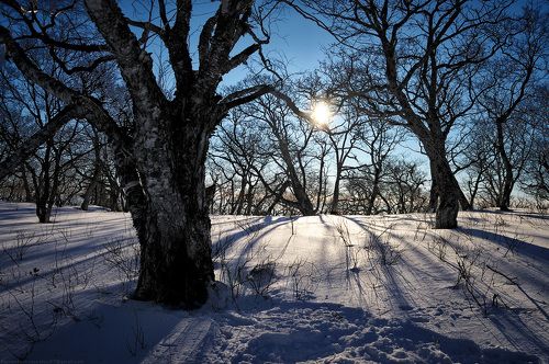 Холодное утро