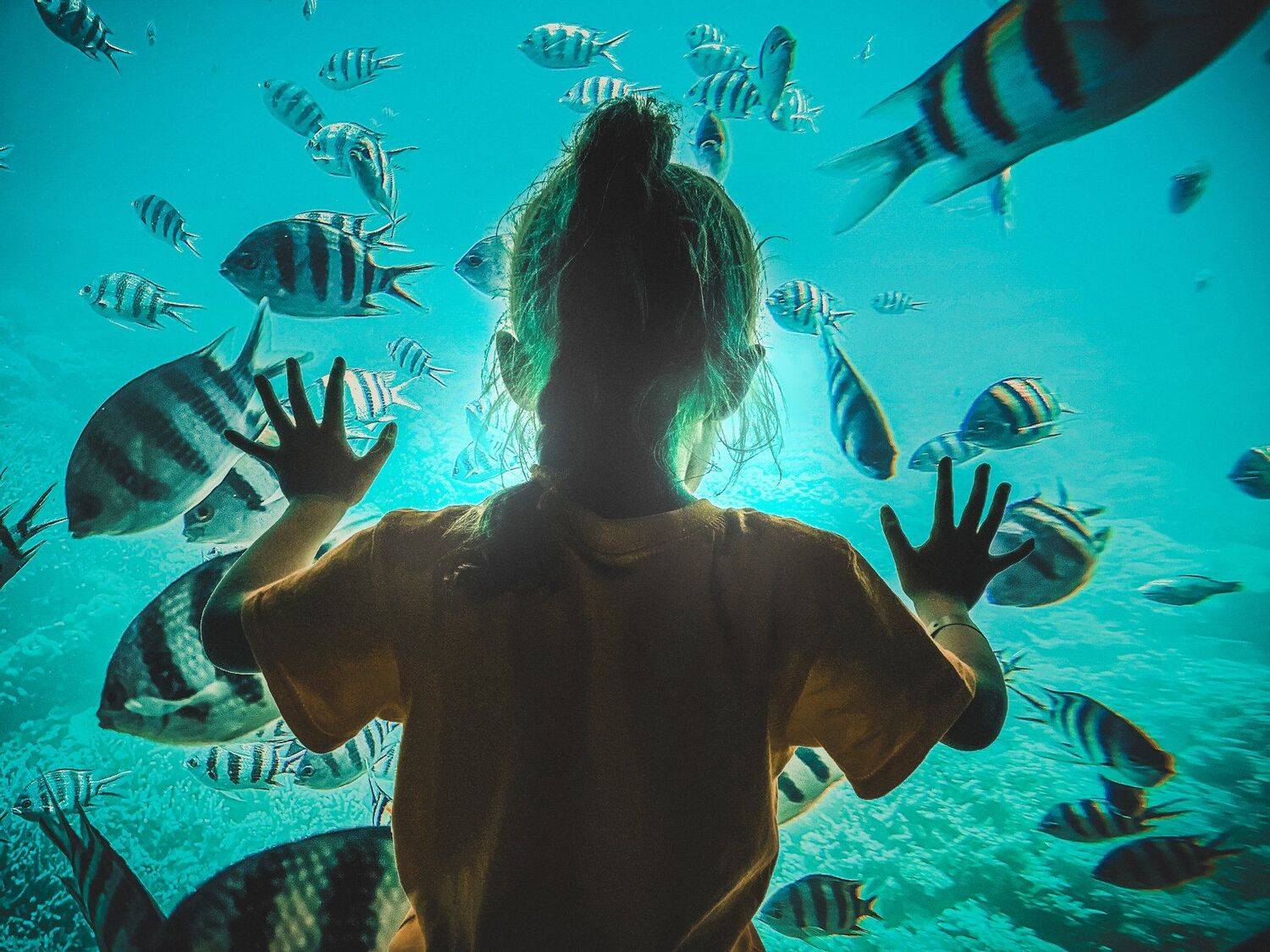 красное море, человек, хургада, рыбы, помолейко, red sea, hurgada, fish, батискаф, Павел Помолейко