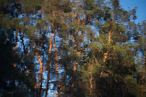 Акварели Мещёрской реки