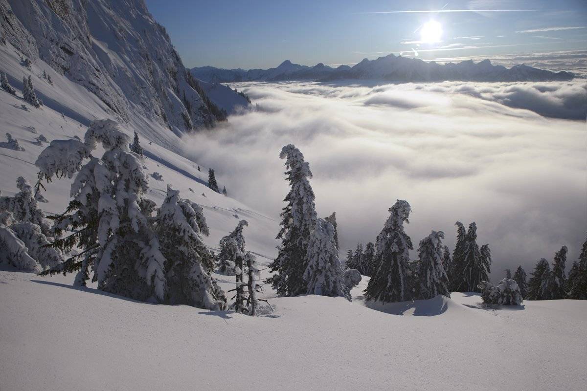 swiss, Матвеев Николай