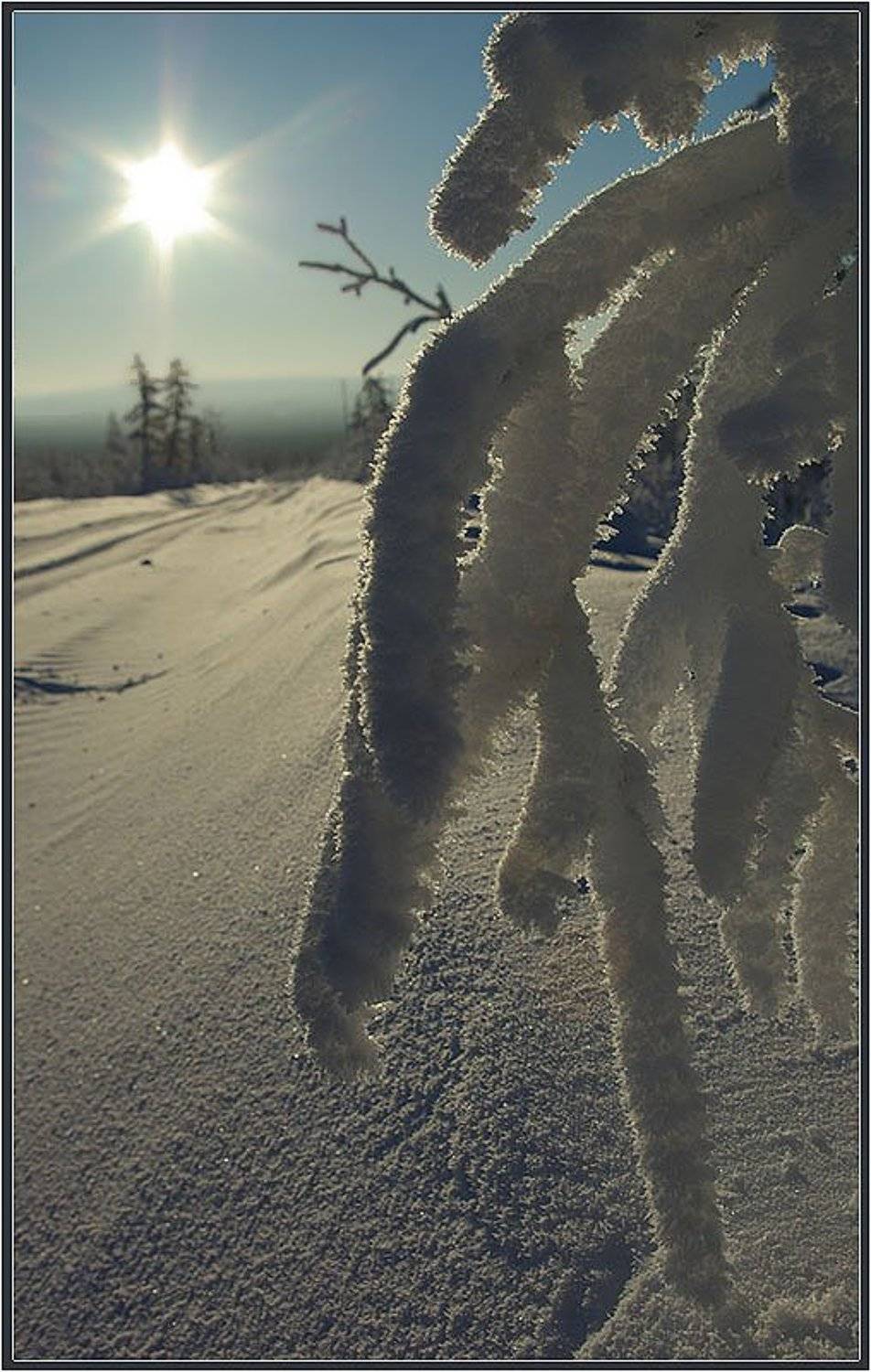 иней, Солодухин Виктор
