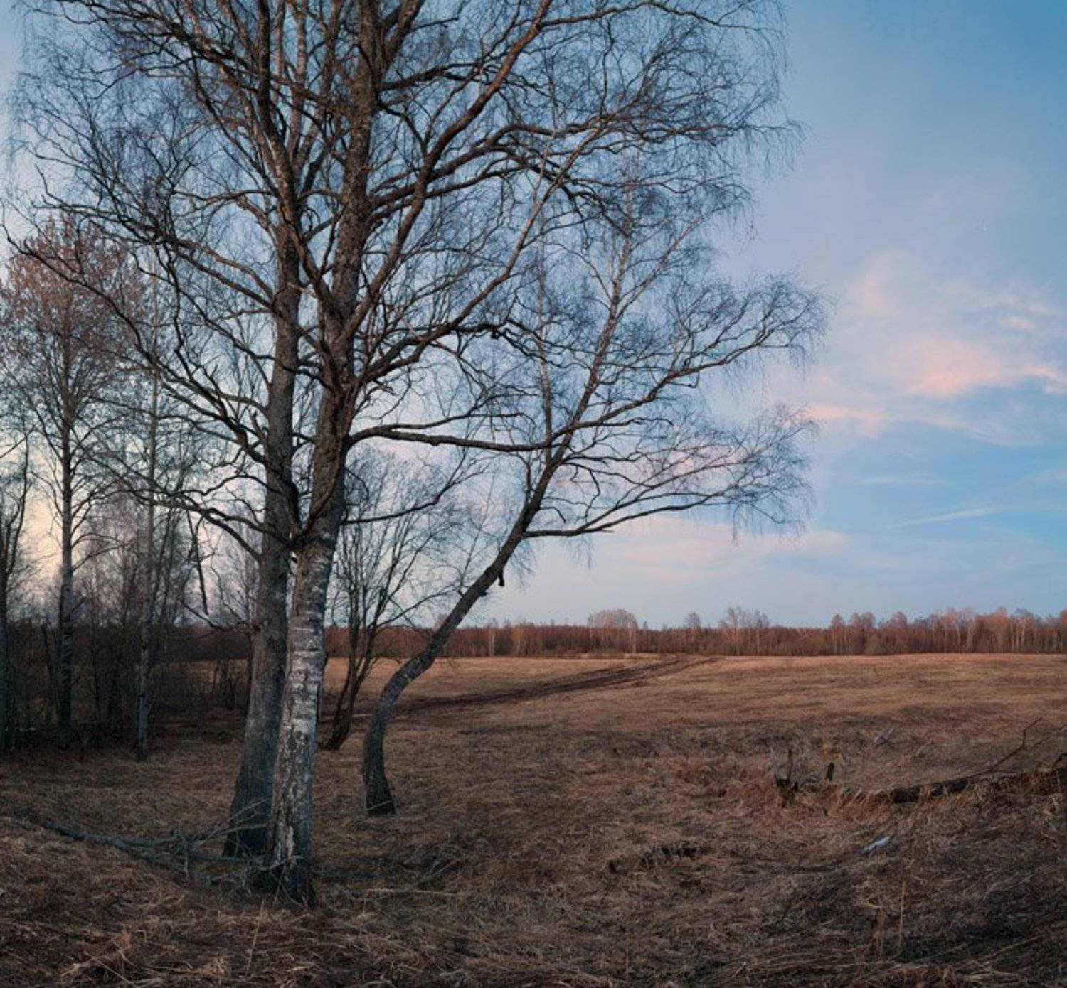 весенний, вечер, в, поле, Владимир Кириченко (vlkira)