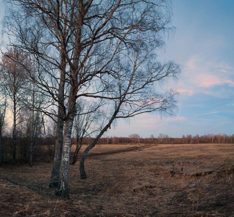 весенний, вечер, в, поле Весенний вечер в поле фото превью