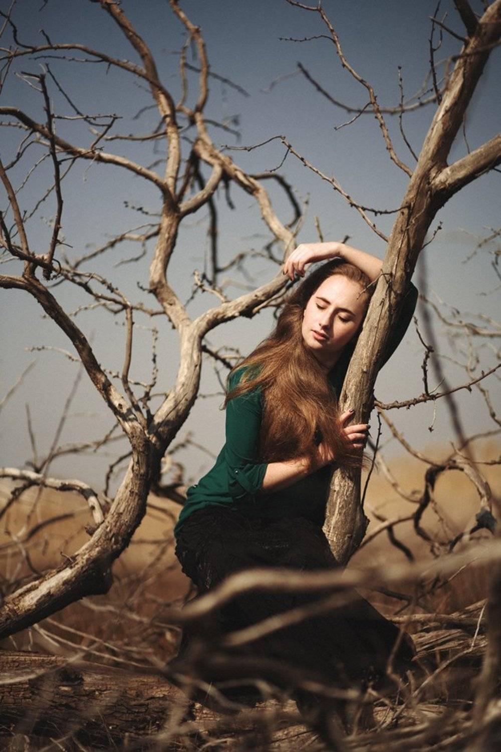 , Алиев Эльдар