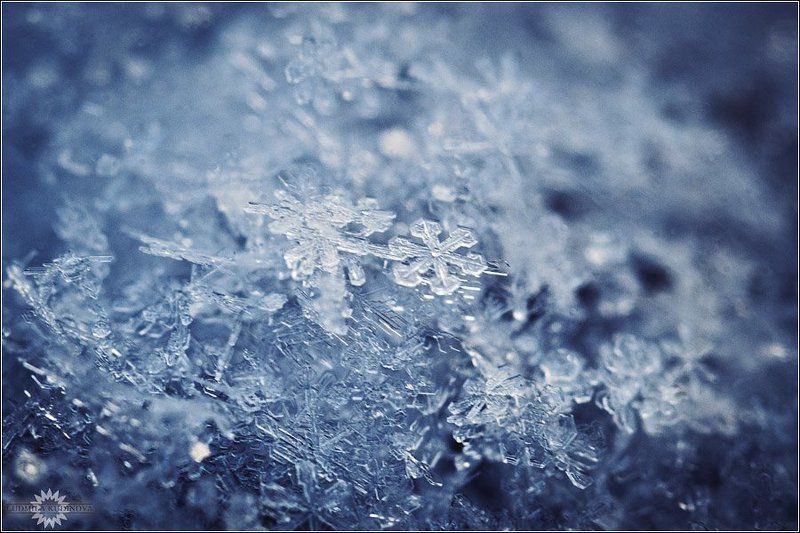 снег, кристаллы, природа, красота, макро Снег нападал за окошком фото превью