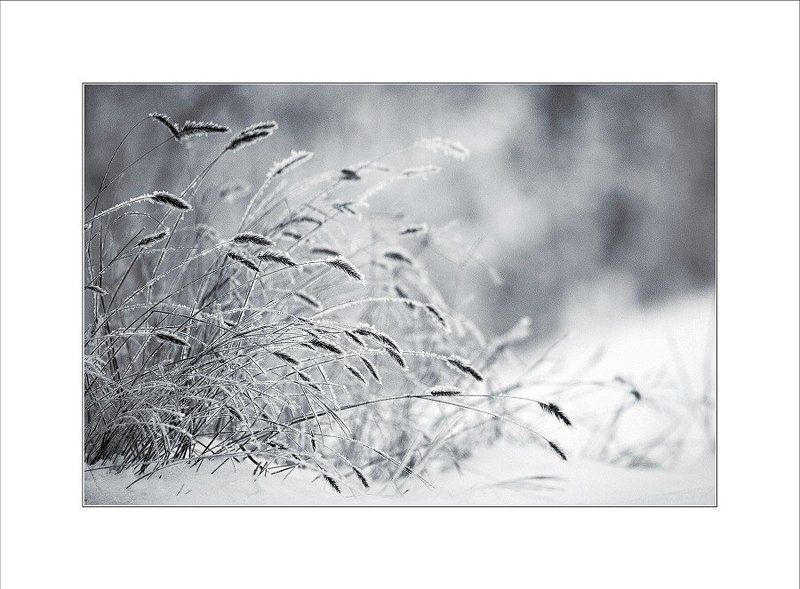 ***  фото превью