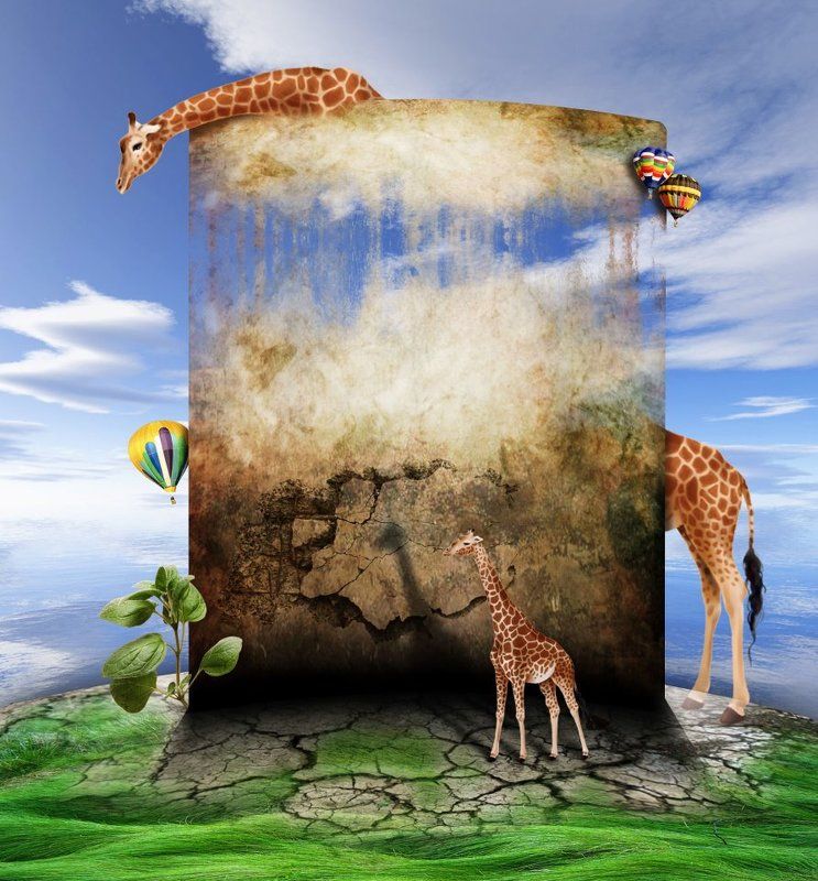 giraffe one and a half giraffe фото превью