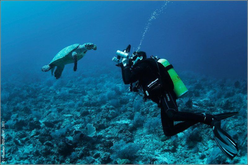 Ты сними, сними меня, фотограф... фото превью