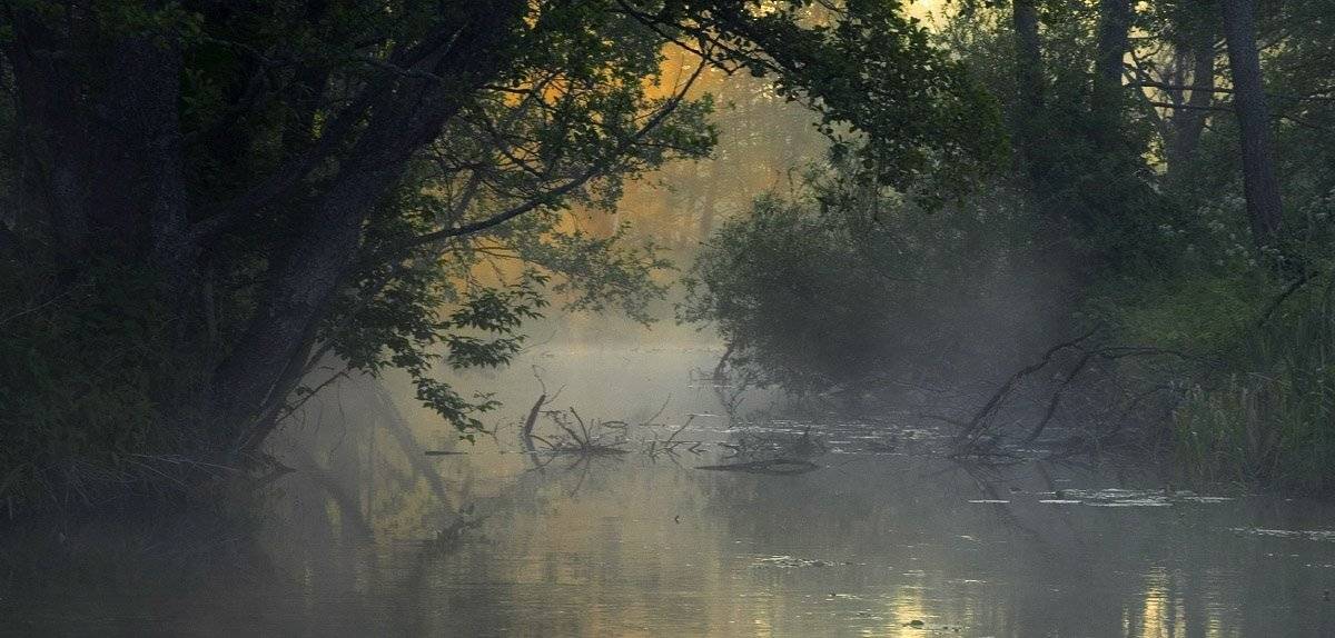 , Александр