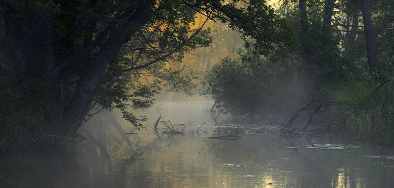 Вдоль по Амазонке фото превью