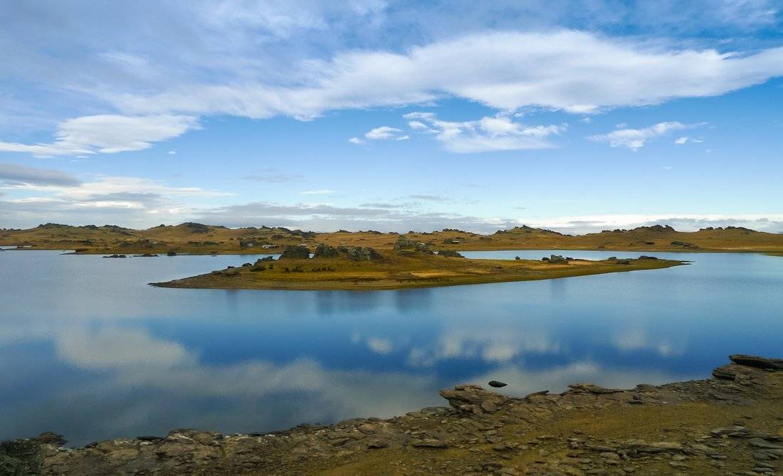 , Надежда Звягина / New Zealand