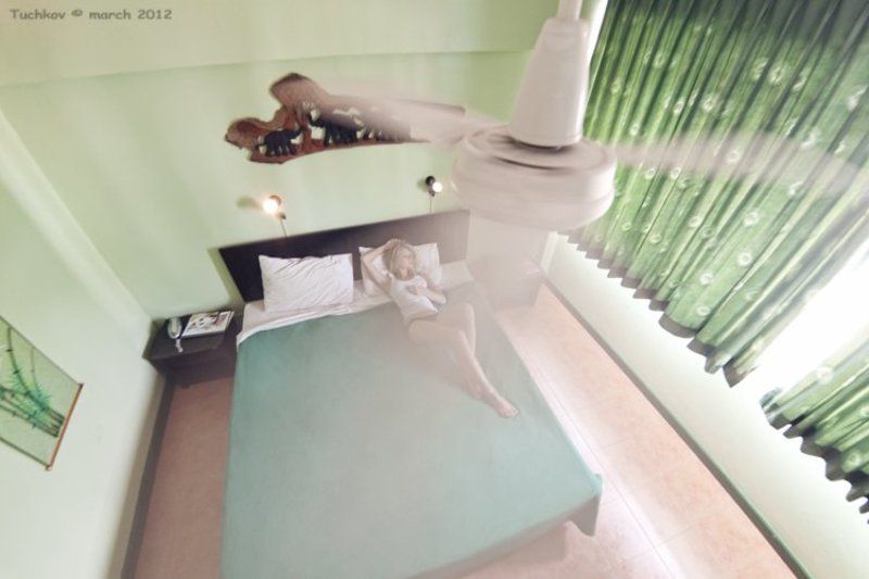 Ally фото превью