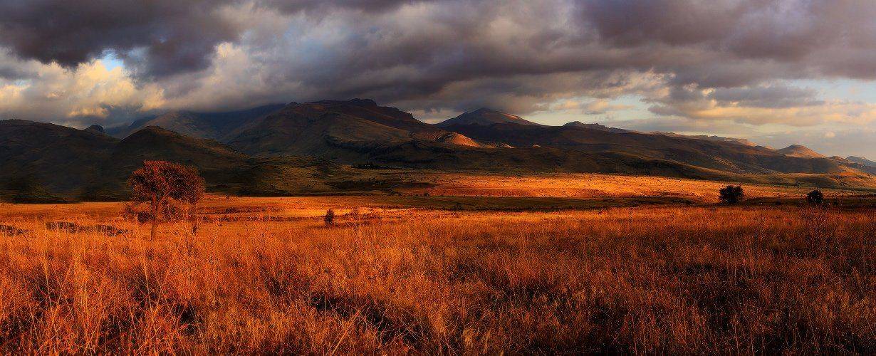 , Гамидов Мурад