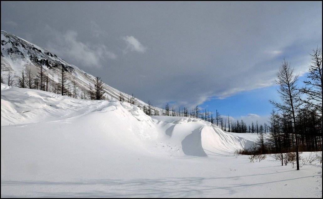 таймыр,зима, Vladimir