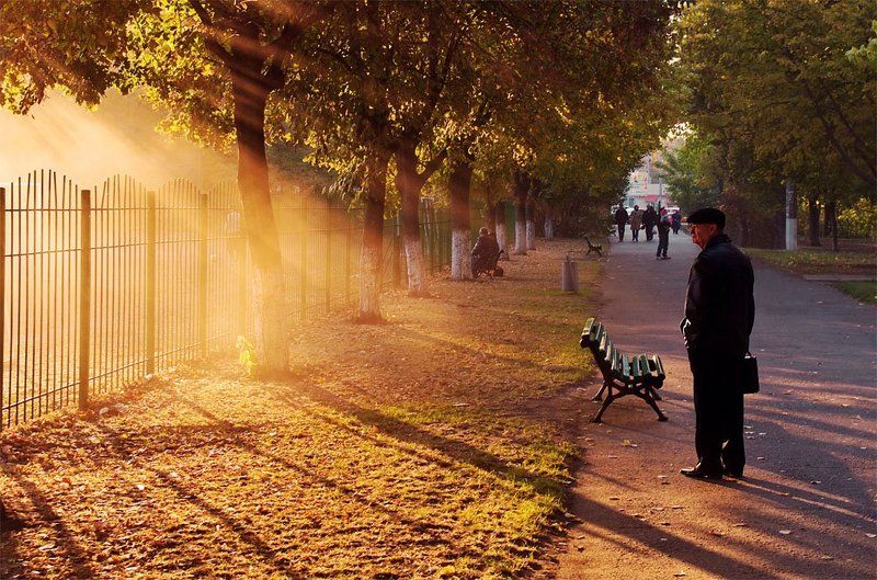 одесса, парк, свет, закат Жизнь продолжается фото превью