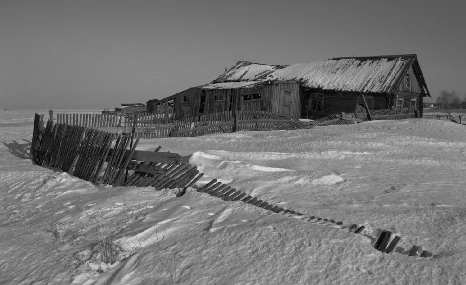 , Андрей Котов