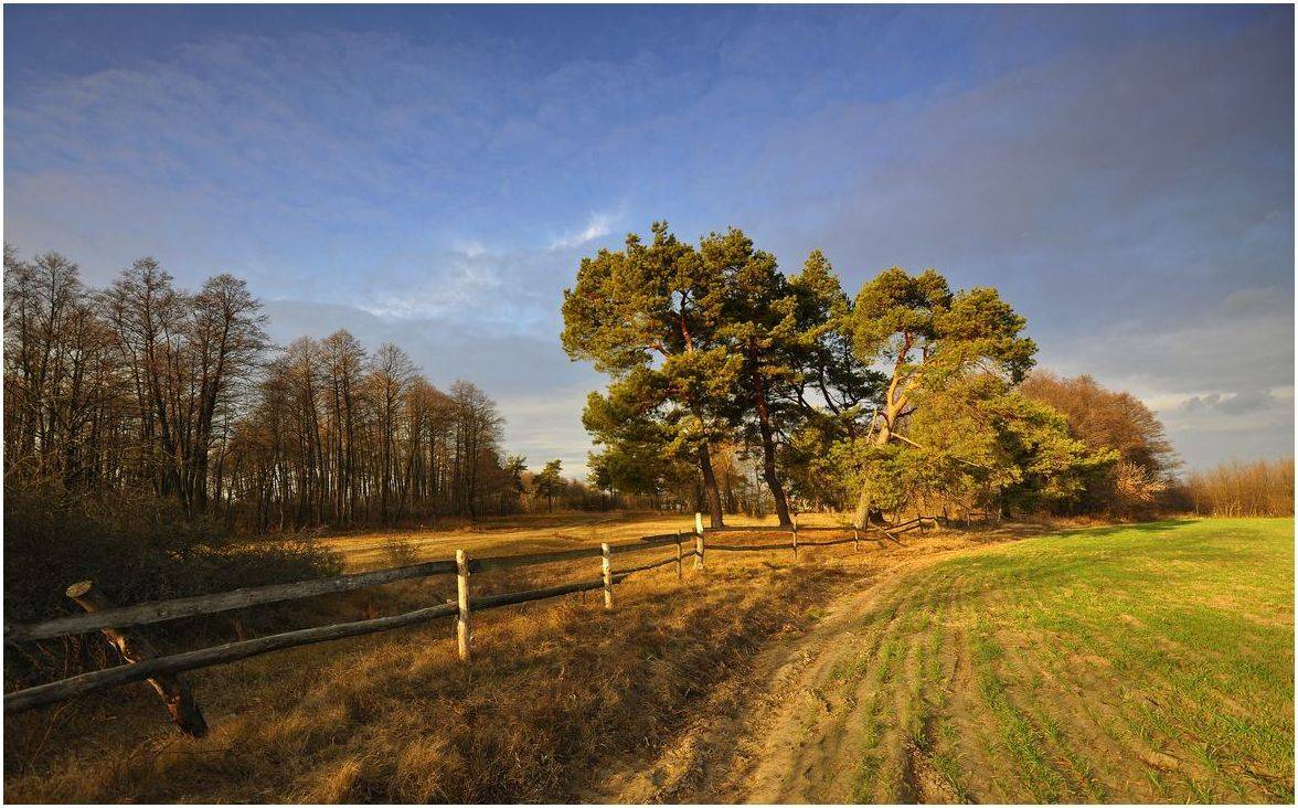 , Володимир Карчевський