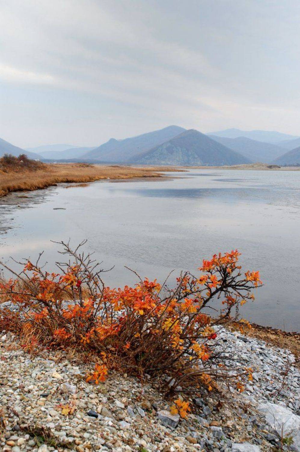 , Вадим Кузьмичев