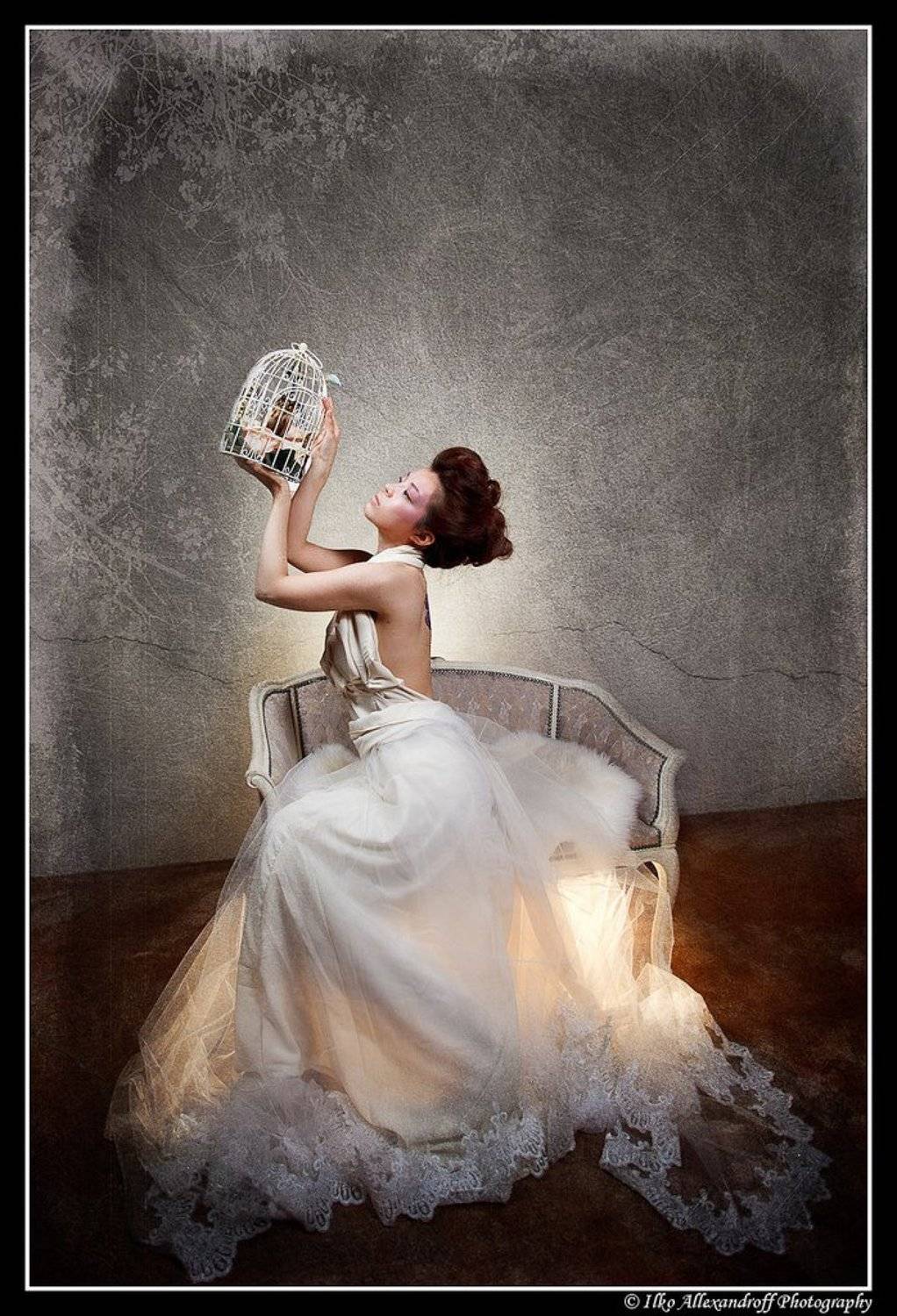 cage, bird, japanese, softbox, strobist, Ilko Allexandroff