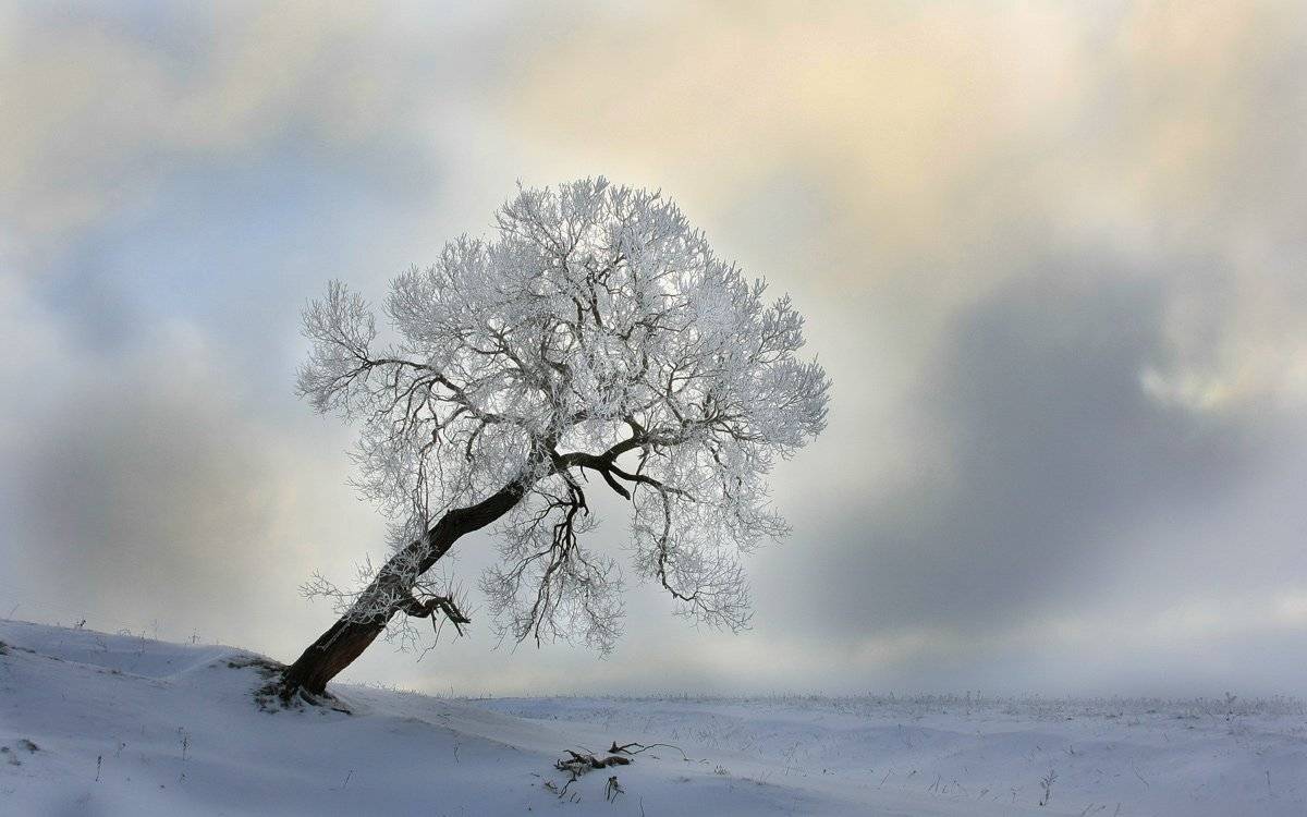 , Валерий Кондратов