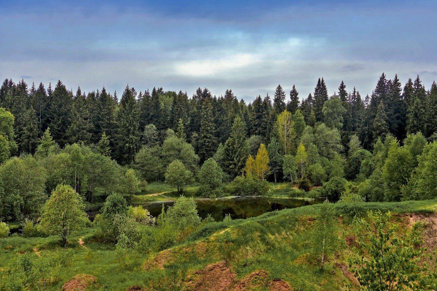 , Uncle_Vova (Владимир Веснин)