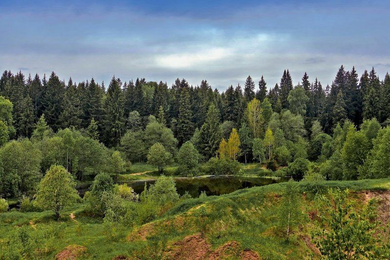 Лесное озерцо фото превью