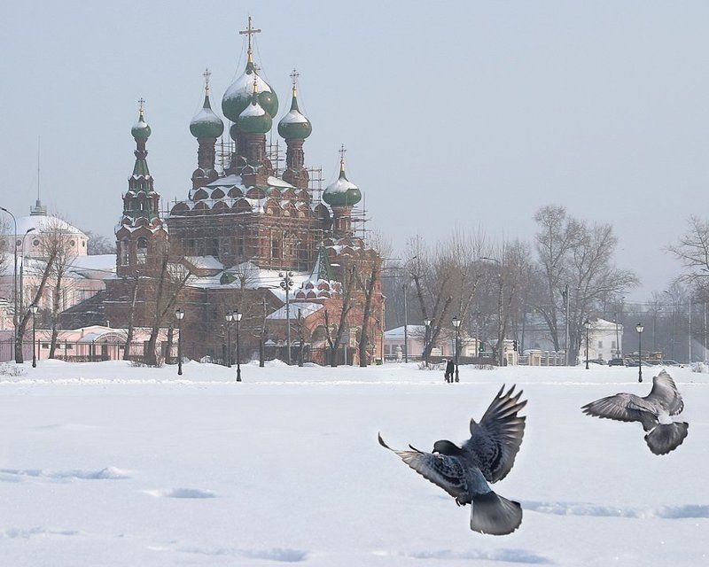 В Останкино фото превью