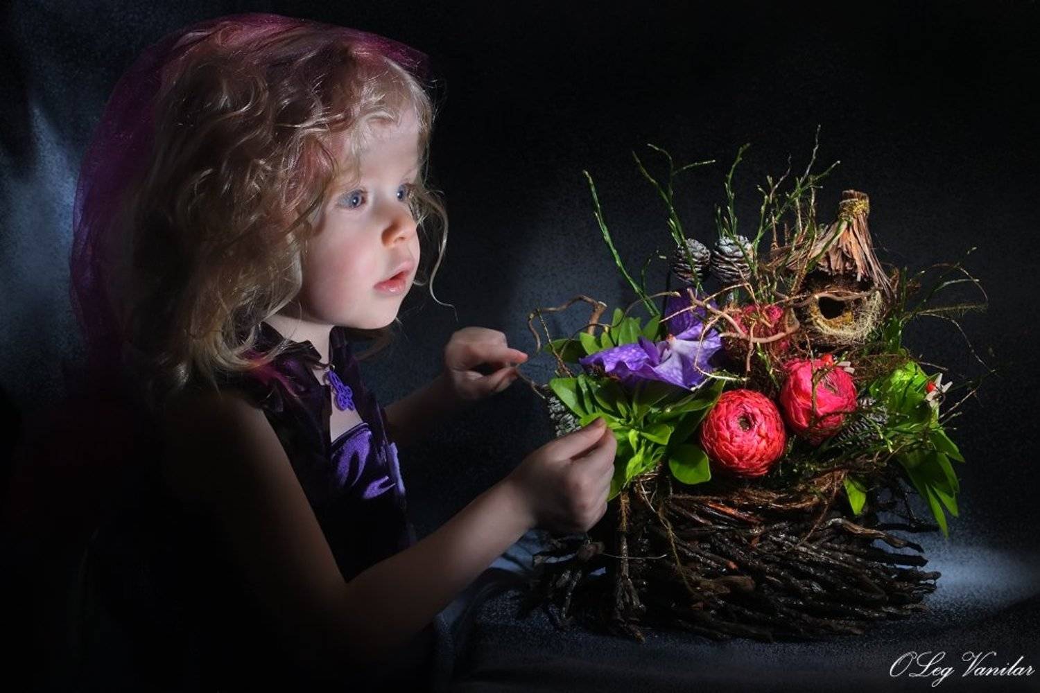 , Олег Ванилар