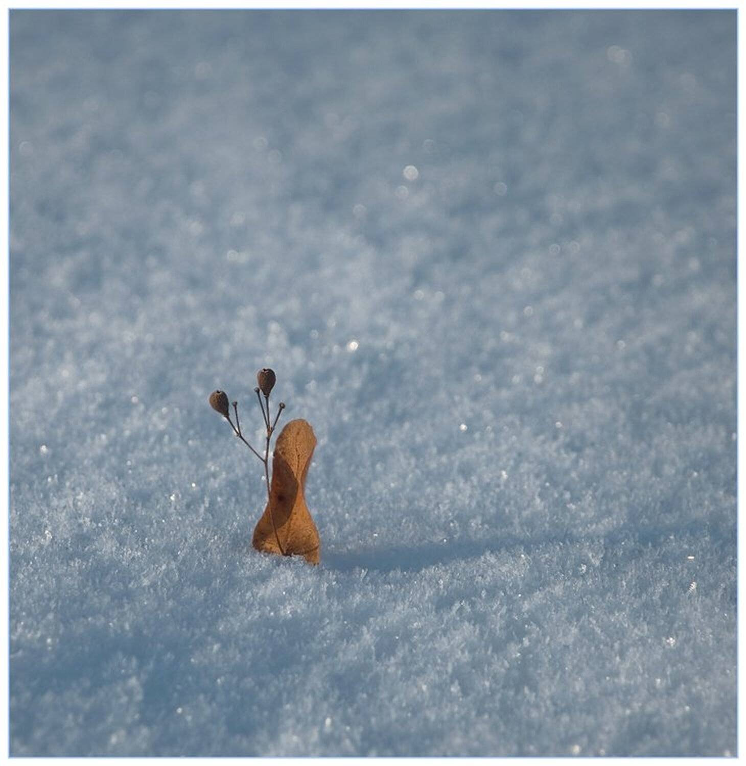 снег, lovestory, Букало Роман