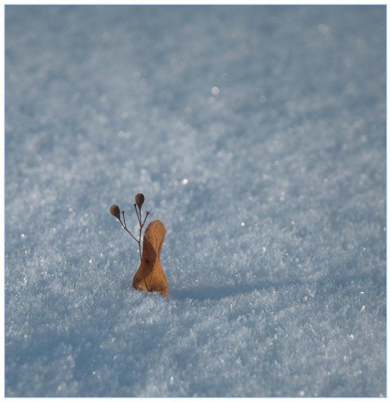 снег, lovestory Love story фото превью